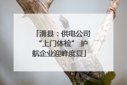 滑县：供电公司“上门体检” 护航企业迎峰度夏