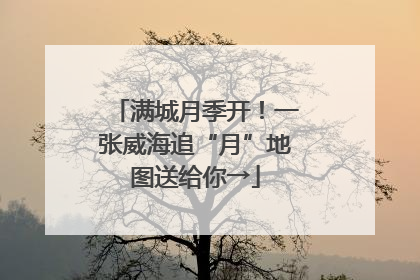 满城月季开！一张威海追“月”地图送给你→