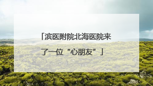 滨医附院北海医院来了一位“心朋友”