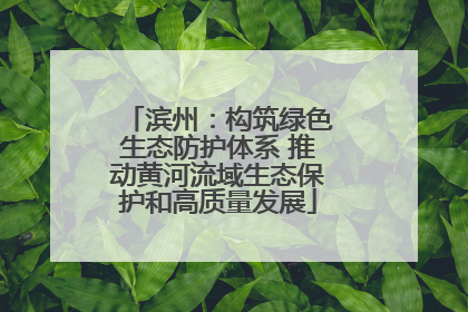 滨州：构筑绿色生态防护体系 推动黄河流域生态保护和高质量发展