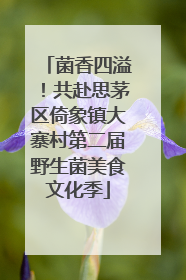 菌香四溢！共赴思茅区倚象镇大寨村第二届野生菌美食文化季