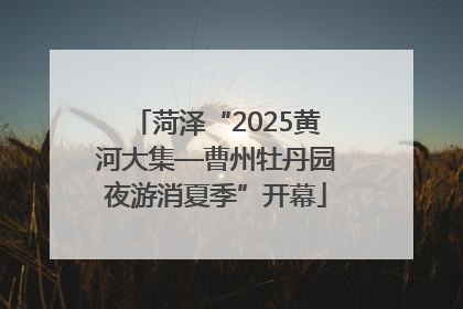 菏泽“2025黄河大集—曹州牡丹园夜游消夏季”开幕