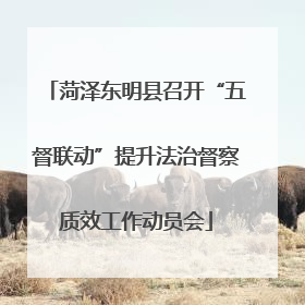 菏泽东明县召开“五督联动”提升法治督察质效工作动员会