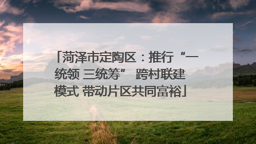 菏泽市定陶区：推行“一统领 三统筹” 跨村联建模式 带动片区共同富裕