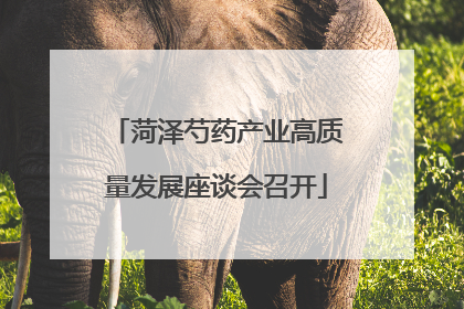 菏泽芍药产业高质量发展座谈会召开