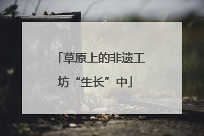 草原上的非遗工坊“生长”中