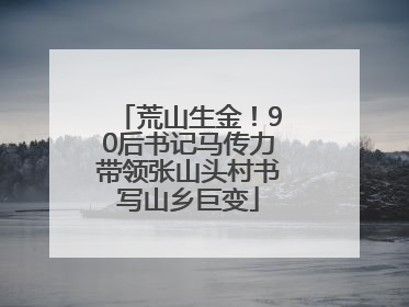荒山生金！90后书记马传力带领张山头村书写山乡巨变