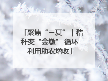 聚焦“三夏”｜秸秆变“金墩” 循环利用助农增收