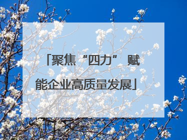 聚焦“四力” 赋能企业高质量发展
