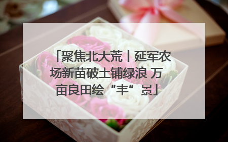 聚焦北大荒丨延军农场新苗破土铺绿浪 万亩良田绘“丰”景