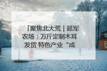 聚焦北大荒｜延军农场：万斤定制木耳发货 特色产业“成绩单”亮眼