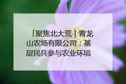 聚焦北大荒｜青龙山农场有限公司：基层民兵参与农业环境综合治理显效