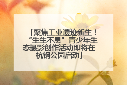 聚焦工业遗迹新生！“生生不息”青少年生态摄影创作活动即将在杭钢公园启动