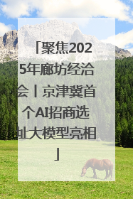 聚焦2025年廊坊经洽会丨京津冀首个AI招商选址大模型亮相