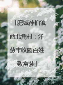 肥城孙伯镇西北角村：洋葱丰收圆百姓致富梦