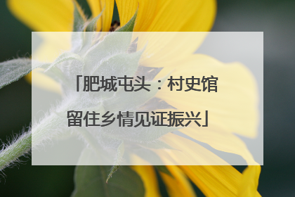肥城屯头：村史馆留住乡情见证振兴