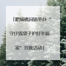 肥城桃园镇举办“守住钱袋子护好幸福家”宣教活动