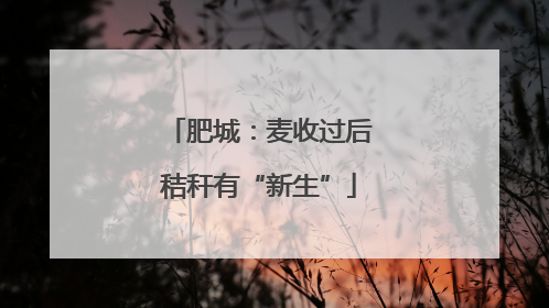 肥城：麦收过后秸秆有“新生”