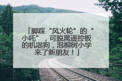脚踩“风火轮”的“小吒”，可脱离遥控板的机器狗，泡桐树小学来了新朋友！