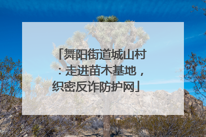 舞阳街道城山村：走进苗木基地，织密反诈防护网