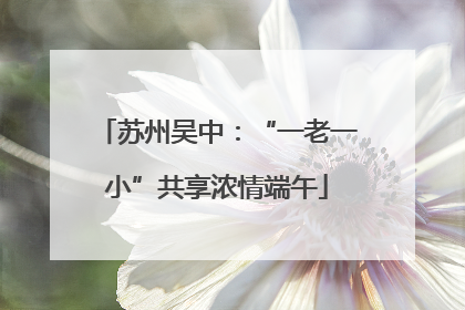 苏州吴中：“一老一小”共享浓情端午