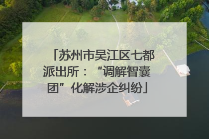 苏州市吴江区七都派出所：“调解智囊团”化解涉企纠纷