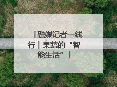 融媒记者一线行｜果蔬的“智能生活”