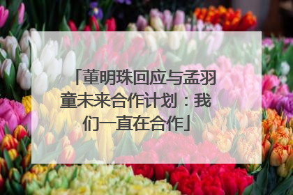 董明珠回应与孟羽童未来合作计划：我们一直在合作