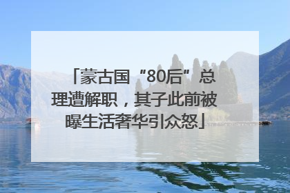 蒙古国“80后”总理遭解职，其子此前被曝生活奢华引众怒