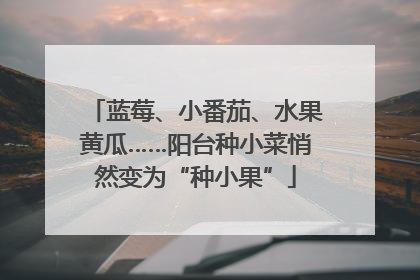 蓝莓、小番茄、水果黄瓜……阳台种小菜悄然变为“种小果”