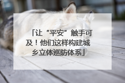 让“平安”触手可及！他们这样构建城乡立体巡防体系