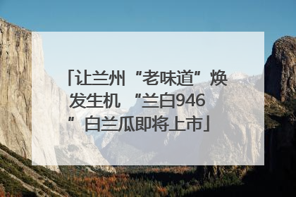 让兰州“老味道”焕发生机 “兰白946”白兰瓜即将上市