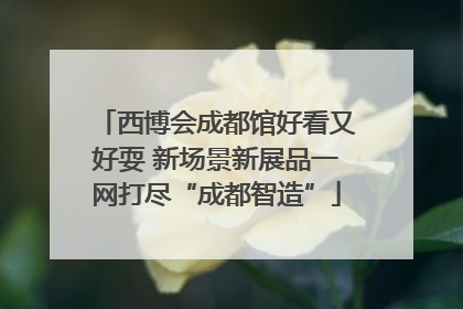 西博会成都馆好看又好耍 新场景新展品一网打尽“成都智造”
