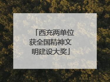 西充两单位获全国精神文明建设大奖