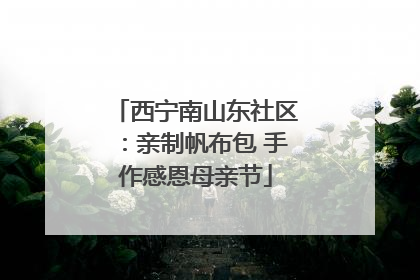 西宁南山东社区：亲制帆布包 手作感恩母亲节