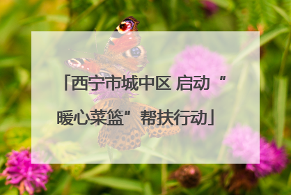 西宁市城中区 启动“暖心菜篮”帮扶行动