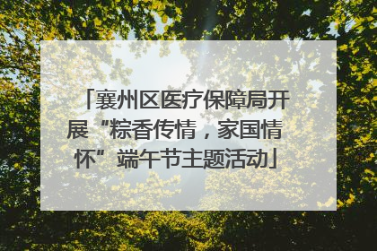 襄州区医疗保障局开展“粽香传情，家国情怀”端午节主题活动
