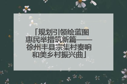 规划引领绘蓝图 惠民举措筑新篇——徐州丰县宗集村奏响和美乡村振兴曲
