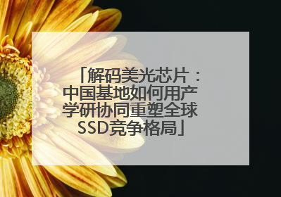解码美光芯片：中国基地如何用产学研协同重塑全球SSD竞争格局