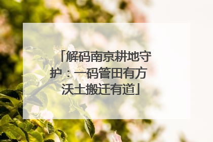 解码南京耕地守护：一码管田有方 沃土搬迁有道