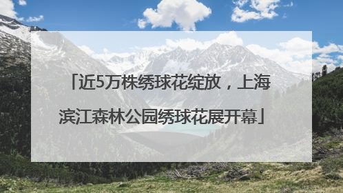 近5万株绣球花绽放，上海滨江森林公园绣球花展开幕