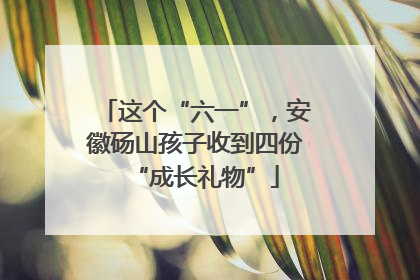 这个“六一”，安徽砀山孩子收到四份“成长礼物”