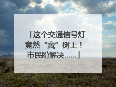 这个交通信号灯竟然“藏”树上！市民盼解决……