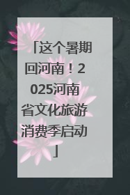 这个暑期回河南！2025河南省文化旅游消费季启动