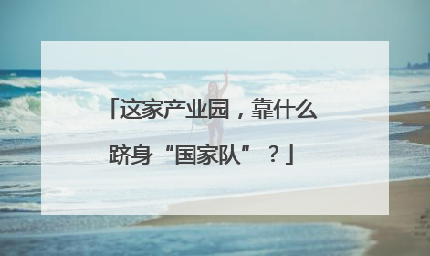这家产业园，靠什么跻身“国家队”？