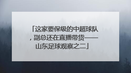 这家要保级的中超球队，副总还在直播带货——山东足球观察之二