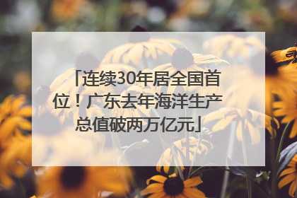 连续30年居全国首位！广东去年海洋生产总值破两万亿元
