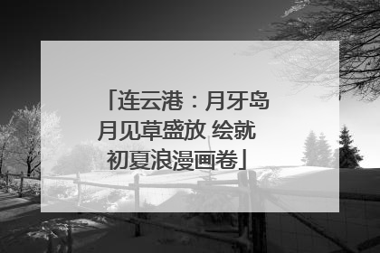连云港：月牙岛月见草盛放 绘就初夏浪漫画卷