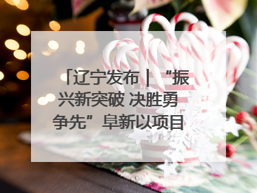 辽宁发布｜“振兴新突破 决胜勇争先”阜新以项目攻坚破解发展瓶颈 经济发展实现良好开局