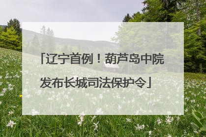 辽宁首例！葫芦岛中院发布长城司法保护令
